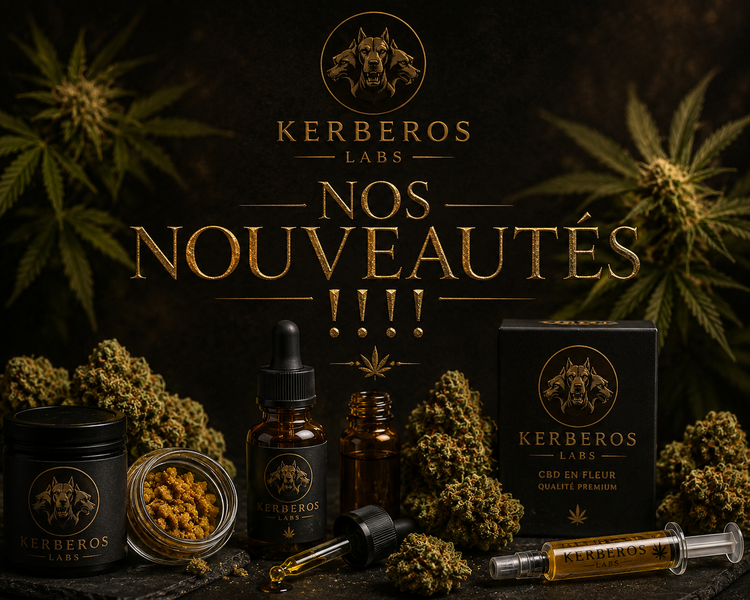 Nos Nouveautés ! 🆕