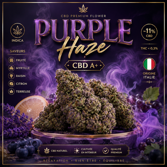 Purple Haze CBD 🟣