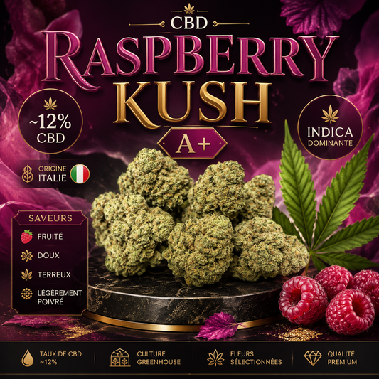 Raspberry Kush CBD 🫐