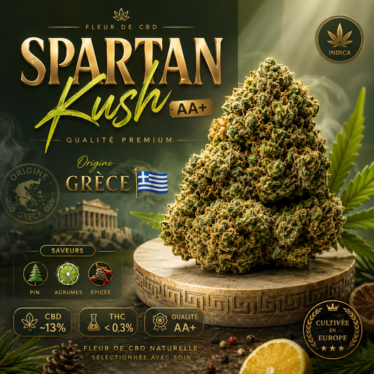 Spartan Kush CBD ⚔️