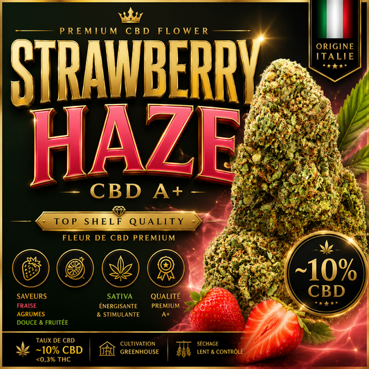 Strawberry Haze CBD 🍓