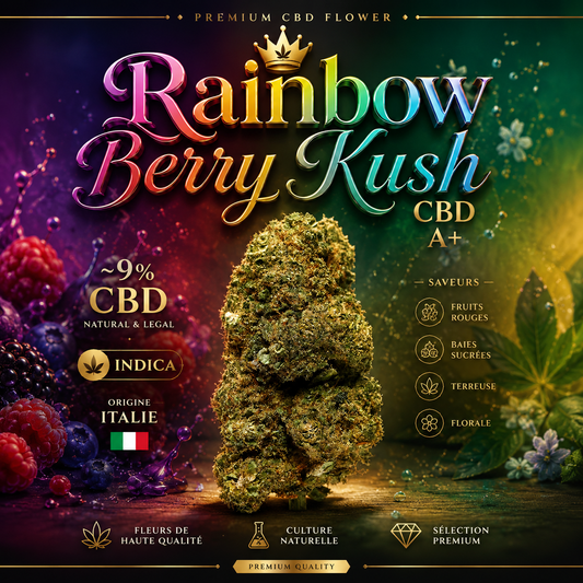 Raimbow Berry Kush CBD 🌈🫐