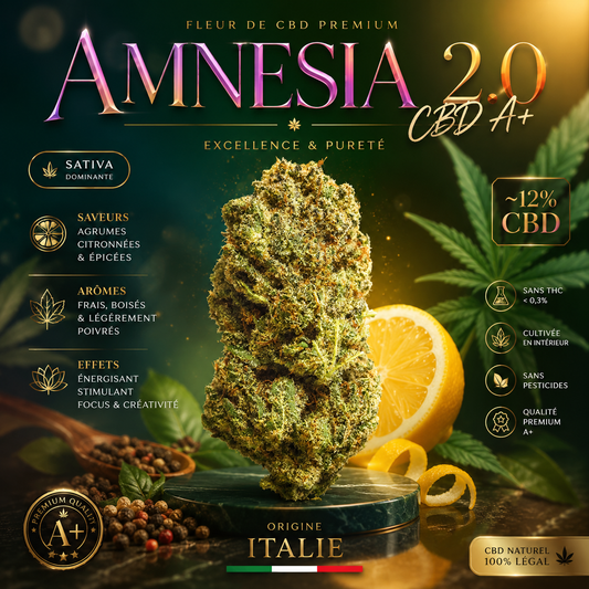Amnesia 2.0 CBD 🧠