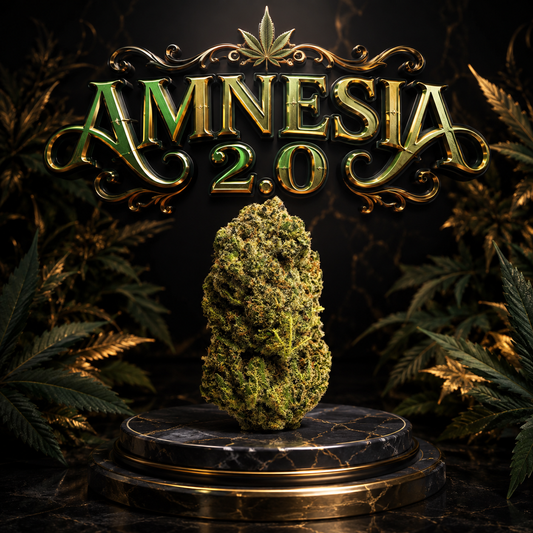 Amnesia 2.0 CBD 🧠
