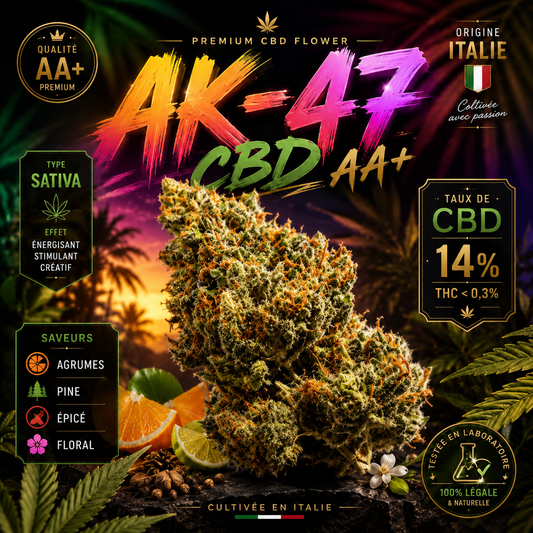 AK-47 CBD 💥