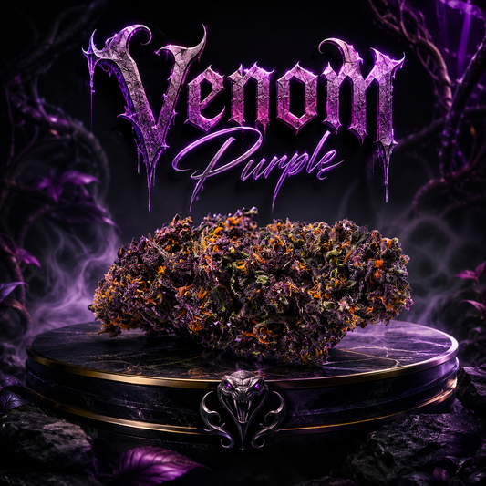 Venom Purple CBD Outdoor 🦇