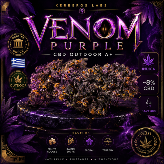 Venom Purple CBD Outdoor 🦇